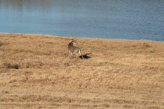 IMG_8841.JPG