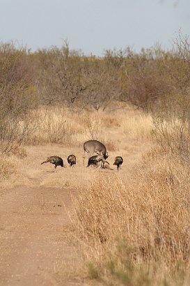 IMG_9191.JPG