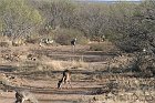 IMG_8600