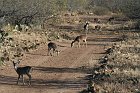 IMG_8603