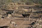 IMG_8614