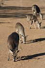 IMG_8624