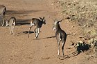IMG_8625
