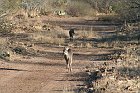 IMG_8631