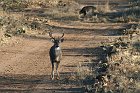IMG_8641