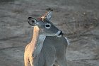 IMG_8670