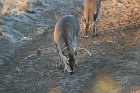 IMG_8705