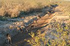 IMG_8716