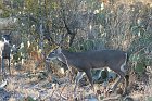IMG_8725