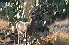 IMG_8745