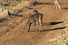 IMG_8747