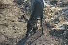 IMG_8750
