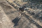 IMG_8759