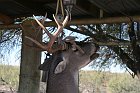 IMG_8795