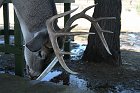 IMG_8807