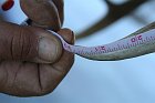 IMG_8810