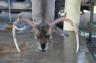 IMG_8812