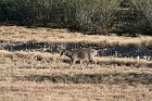 IMG_8813