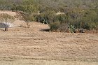 IMG_8832