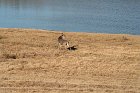 IMG_8841