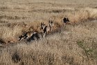 IMG_8845