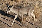 IMG_8848