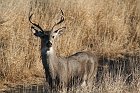 IMG_8853