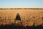 IMG_8868
