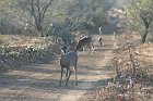 IMG_8989