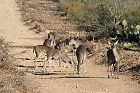IMG_9000