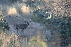 IMG_9032
