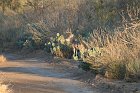 IMG_9038