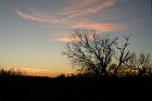 IMG_9047