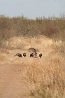 IMG_9191