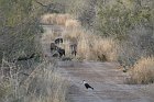 IMG_9194