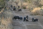 IMG_9197