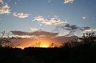 IMG_9198