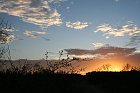 IMG_9203