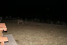 IMG_9230