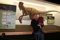 IMG_9380