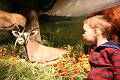 IMG_9392
