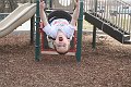 IMG_9447