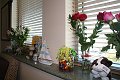 IMG_9672