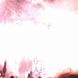 IMG_3502