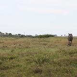 IMG_0530